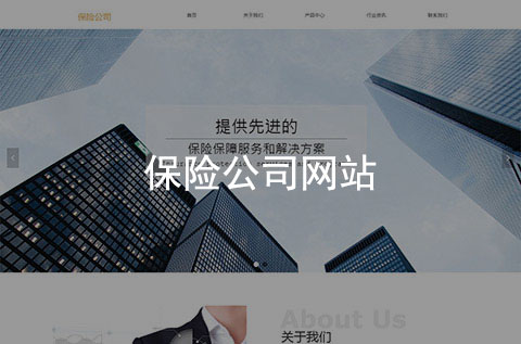保險(xiǎn)公司企業(yè)官網(wǎng)（簡約大氣）