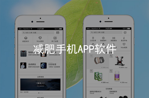 減肥手機(jī)APP開發(fā)案例