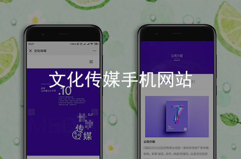 文化傳媒手機網(wǎng)站制作案例