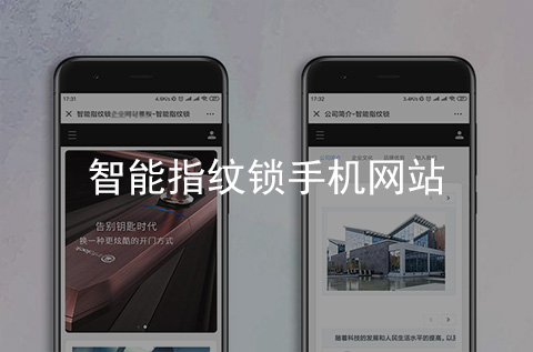 智能指紋鎖手機網(wǎng)站建設(shè)案例